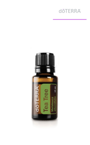 doTERRA - どんぐり ?media_id=3623573288333545583