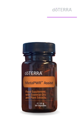 metapwr-assist.png