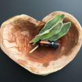 Żywotnik Olbrzymi | Arborvitae