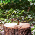 TerraShield Product Photo 03