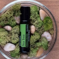 Olejek dōTERRA | Tea Tree Melaleuca Touch Product Photo 03