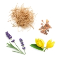 doTERRA Peace Touch Product Photo 02