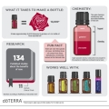 doTERRA Rose | Olejek z Róży Product Photo 02
