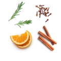 Cleaner Concentrate Product Photo 03