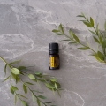 doTERRA Breu Branco Oil Product Photo 03