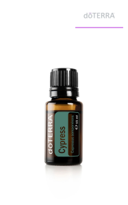 Olejek dōTERRA | Cyprys | Cupressus sempervirens