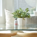 doTERRA abode Foaming Hand Wash 03