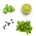 doTERRa Mexican Cuisine Pic 02