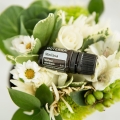 doTERRA Melisaa Product Pic 02