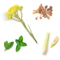 doTERRA Balsam do Ust Pic 02