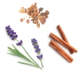 dōTERRA Anchor Oil Pic 01
