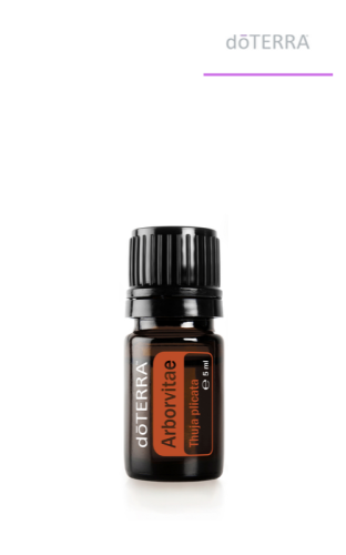 Olejek dōTERRA | Żywotnik Olbrzymi | Arborvitae