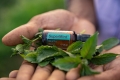 doTERRA SuperMint Photo