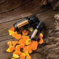 Wild Orange Style Product photo 01