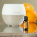 Wild Orange Style Product photo 01