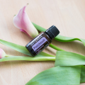 Patchouli Product Style Photo 02