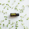 doTERRA Tymianek