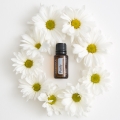 doTERRA Purify Product Photo 02
