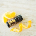 doTERRA Tangerine