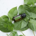 Melaleuca doTERRA (Tea Tree) Product Photo 01