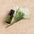 Melaleuca doTERRA (Tea Tree) Product Photo 02