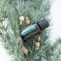 Balance doTERRA Product Style Photo 02