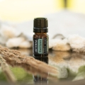 dōTERRA Black Spruce Product Photo 02