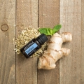 dōTERRA ZenGest Product Photo 01