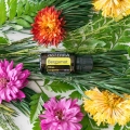 dōTERRA Bergamot Product Photo 03