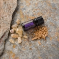 Console doTERRA