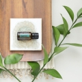 Cypress doTERRA Product Photo 03