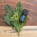 doTERRA Deep Blue 5ml Product Photo 02