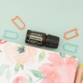 doTERRA Douglas Fir Product Photo 02
