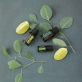 doTERRA Forgive Product Photo 02