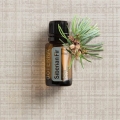 doTERRA Siberian Fir Product Photo 02