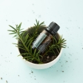 doTERRA Siberian Fir Product Photo 01
