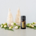 doTERRA Helichrysum Product Photo 02