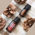 doTERRA Holiday Joy Product Photo 02