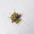 doTERRA Cardamom Product Style Photo 02