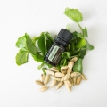 doTERRA Cardamom Product Style Photo 01