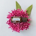 doTERRA Ylang Ylang Product Photo 02