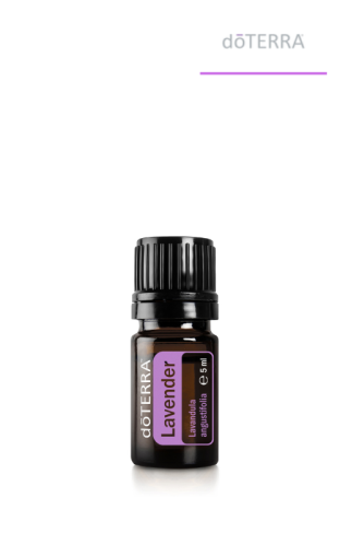 Olejek dōTERRA | Lawenda 5ml