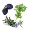 doTERRA Zendocrine Product Style Photo 01