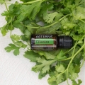 doTERRA Cilantro Product Style Photo 02