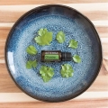 doTERRA Cilantro Product Style Photo 01