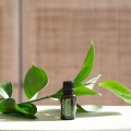 doTERRA Szałwia Lawendolistna Product Style Photo 01