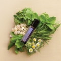 doTERRA Past Tense Product Photo 01