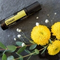 doTERRA Cheer Touch Product Style Photo 02