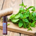 doTERRA Peppermint Touch Product Photo 01