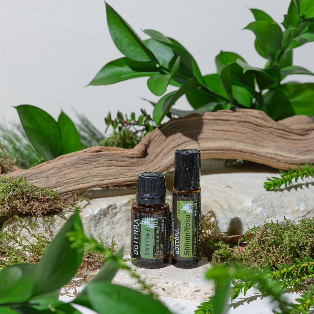 dōTERRA Shinrin Yoku - Leśna Kąpiel Terapeutyczna